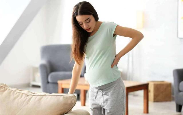 孕育胎宝的过程,胎宝发育过程