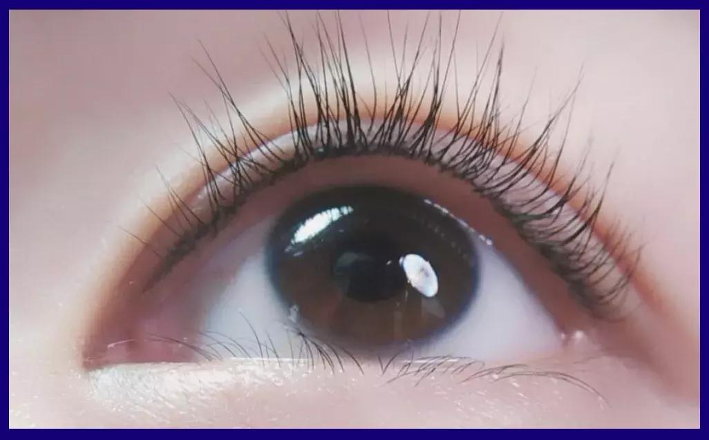 手残党眼线攻略,小猫眼线画法手残党