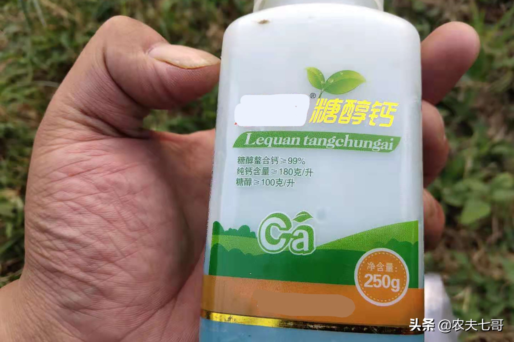 红将军摘袋最佳时间,红富士摘袋后打什么药最好