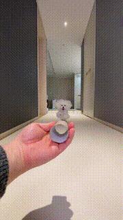 最新海外火爆搞笑视频,50张全球搞笑gif