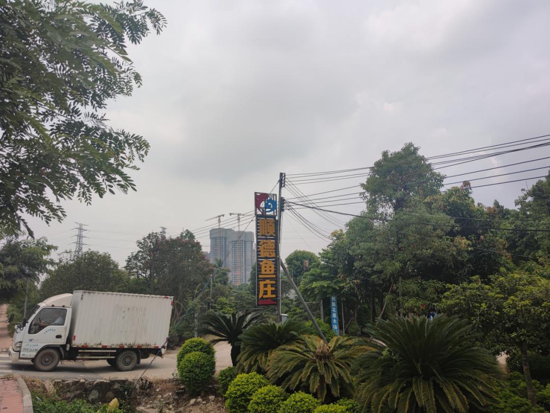 钟落潭保利珑玥天坑,神秘水潭天坑