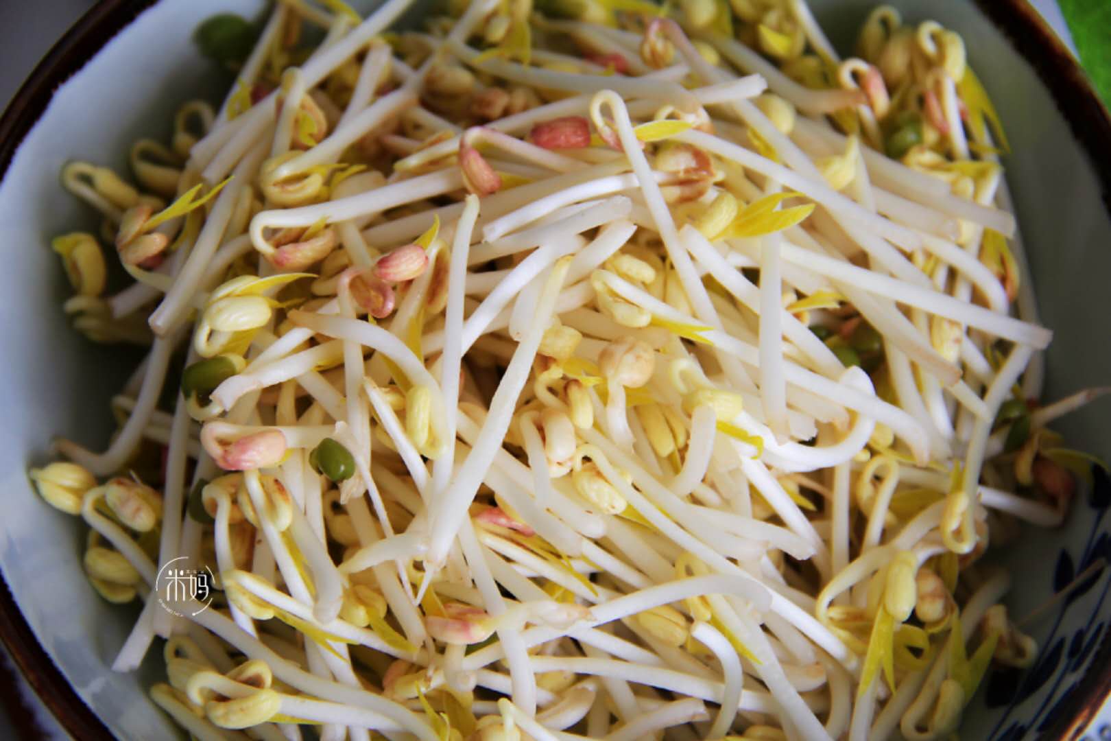 发豆芽原始的简单方法,发豆芽的方法简单又好