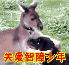 老妈更年期我快疯了,父母都到更年期了怎么办