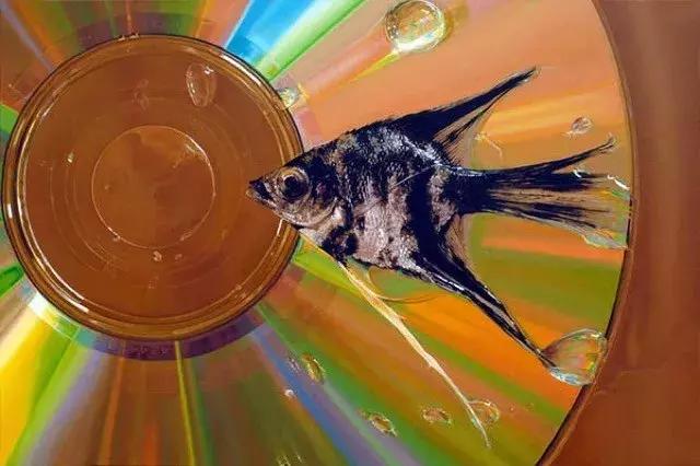 45岁韩国大叔,韩国45岁大叔