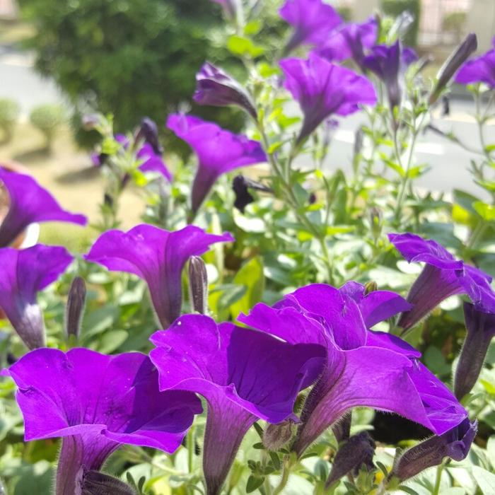 安装阳台窗户注意事项有哪些,装阳台注意事项和细节