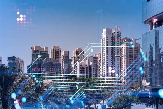 百胜软件公司,百胜管理软件