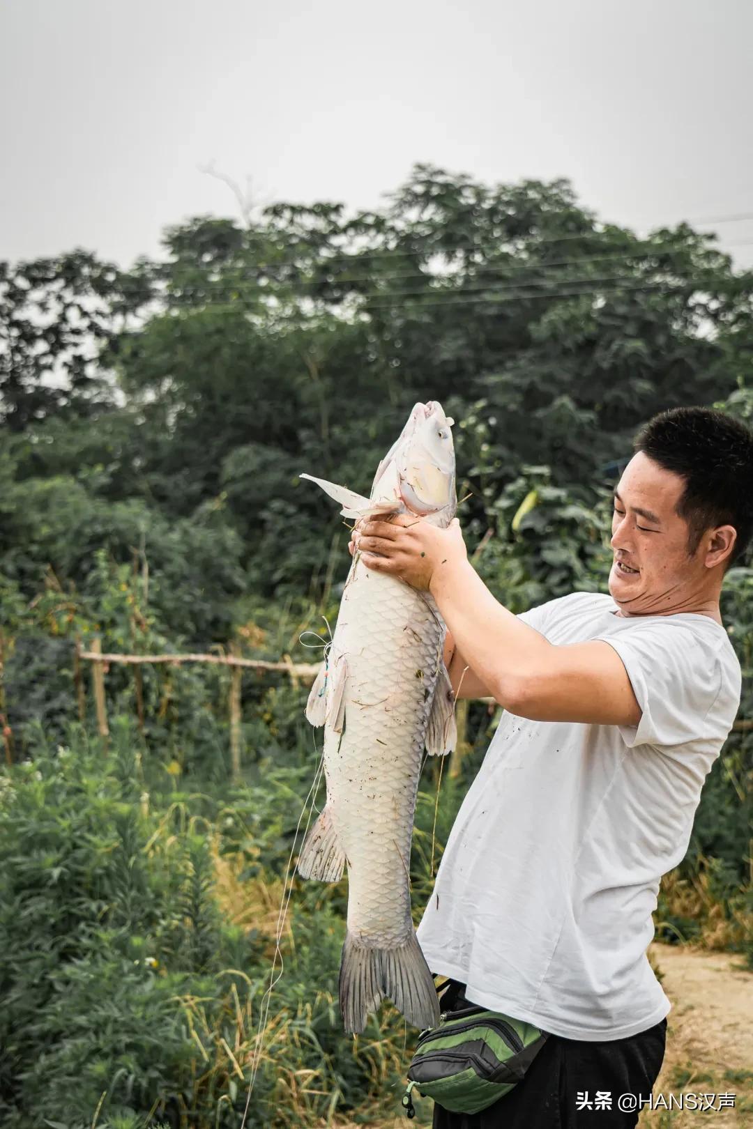 天元邓刚在湖北枣阳钓鱼的视频,天元邓刚钓鱼最新视频现场