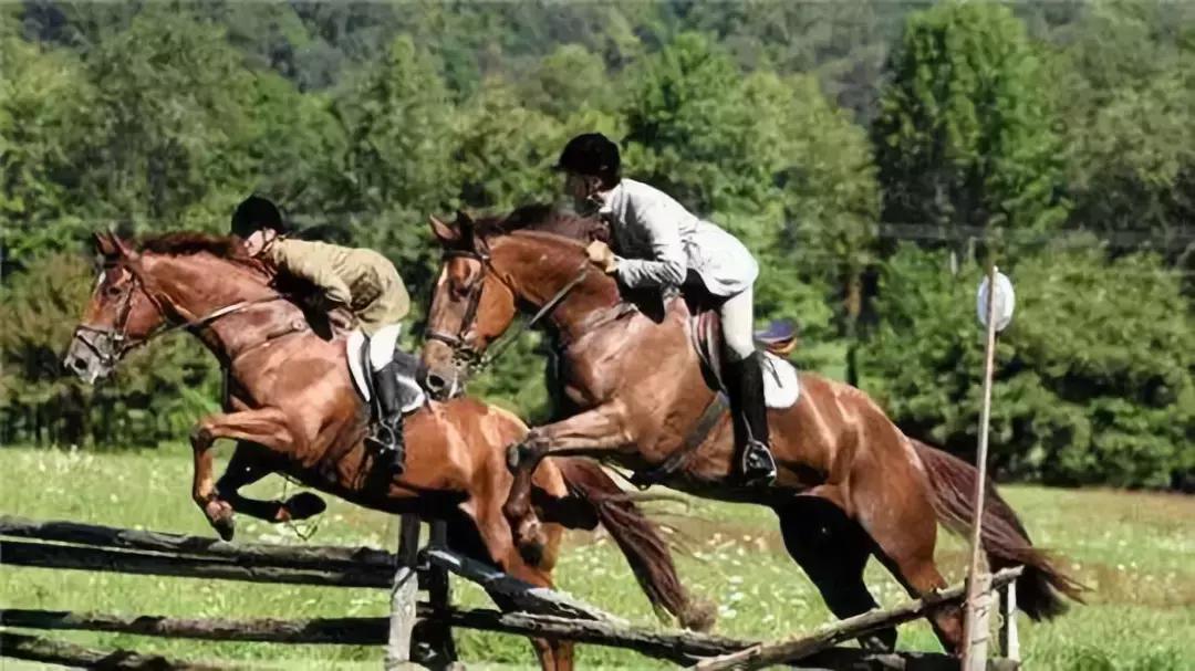 菏泽旅游必去十大景点推荐一下,菏泽本地一日游最佳景点一览表