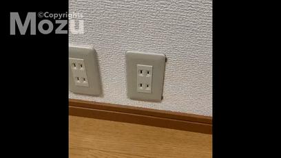 日本造假天才少年，这手艺活可太秀了