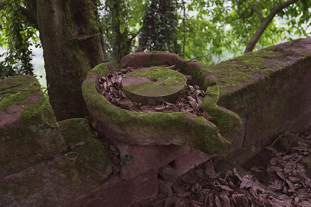 渝北枇杷正黄，冒冒失失穿越铁壁、胜保、斗碗三寨