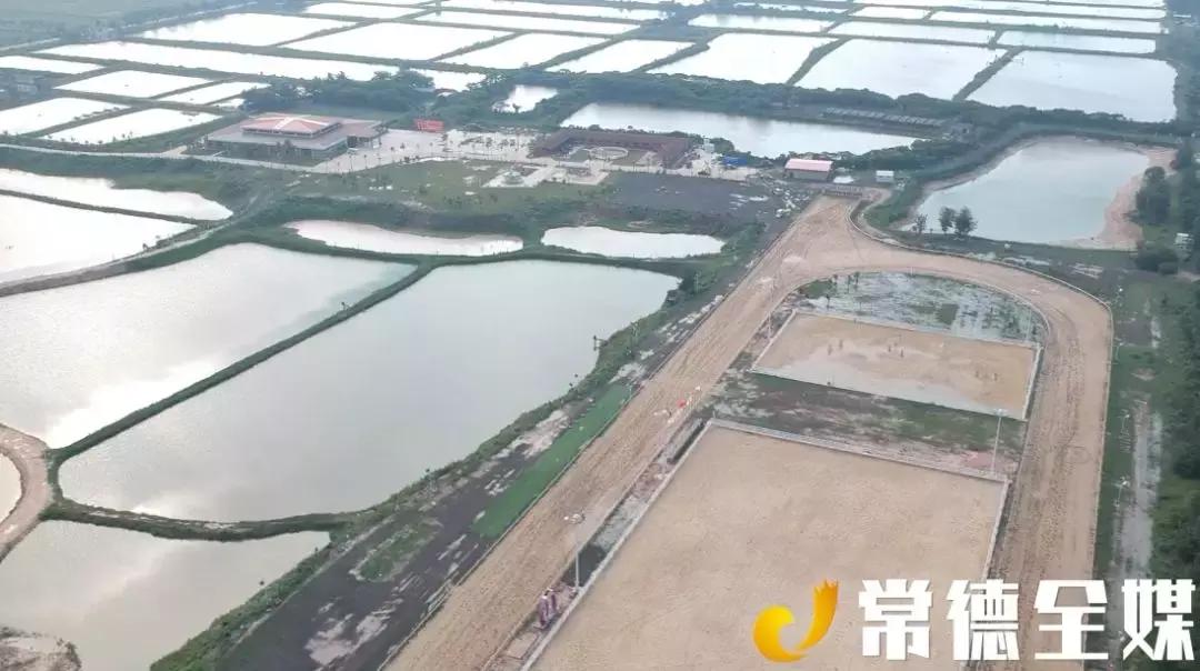 从打桩工做起的常德人，驰骋商界，引进海南第一匹汗血宝马