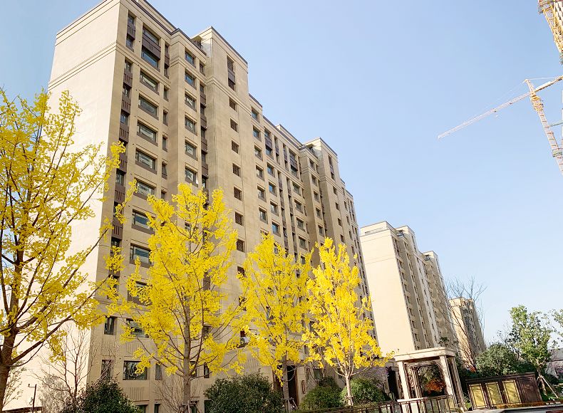 河西中房价历年走势,河西中次新豪宅