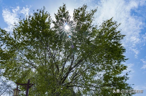 光源拍星芒效果,怎样拍出光芒四射的星芒效果