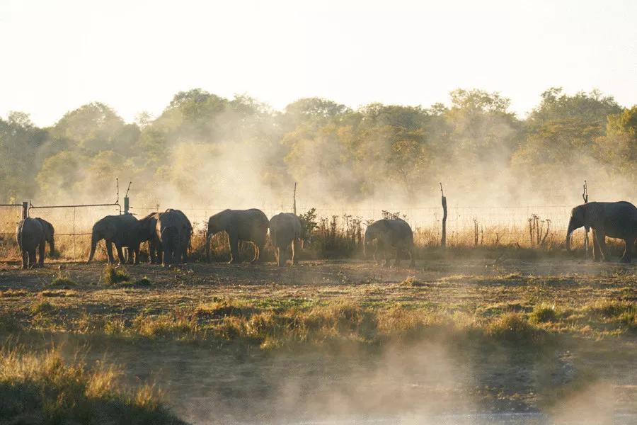 只为一串佛珠,他活剥了我妈的皮:人心有多可怕,你根本想象不到