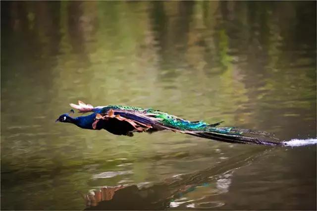 昆明好消息,好消息滇池路