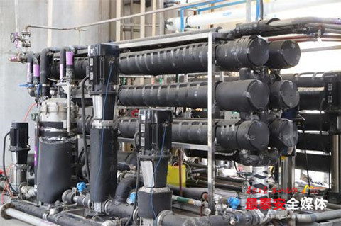 山东润德科技股份有限公司,山东润德生物科技公司怎么样