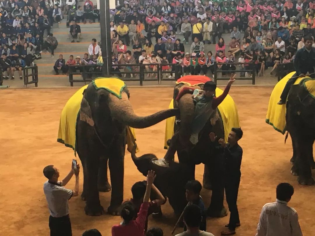 泰国落地签如何申请延期,泰国落地签最新政策7月