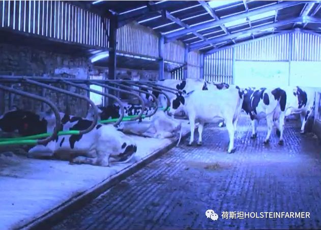 PeterEdmondson博士：乳房炎防控之干奶期管理