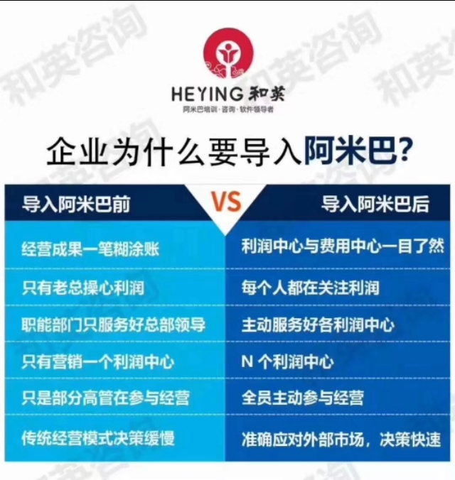 阿米巴经营模式和规模效应,阿米巴的经营模式是什么样的