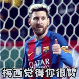 派迪茵射门训练器,派迪茵体育