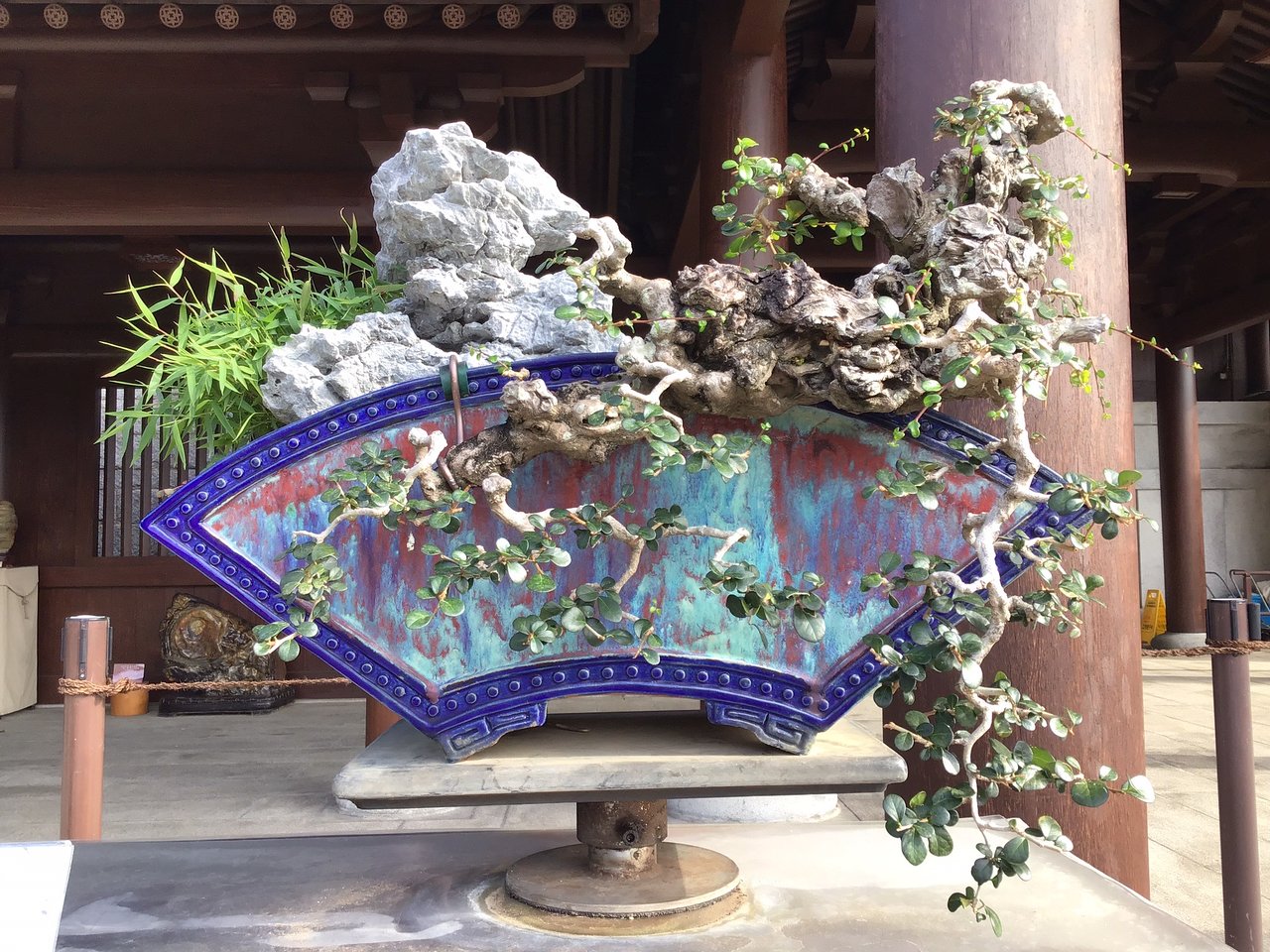 香港志莲净苑地图,香港志莲净苑好玩吗