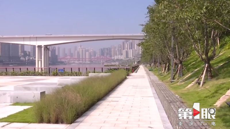 北滨路江滩公园樱花,江滩湿地公园
