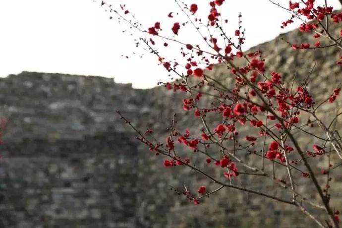 闻香识古城，法国娇兰带你品品西安的味道