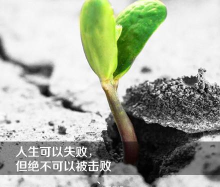 惊艳励志简单语句图片带字,励志小语录霸气带字图片