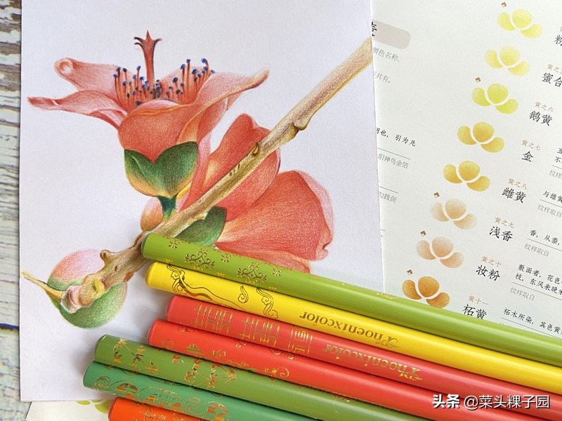 飞乐鸟50色国风彩铅,飞乐鸟彩铅测评