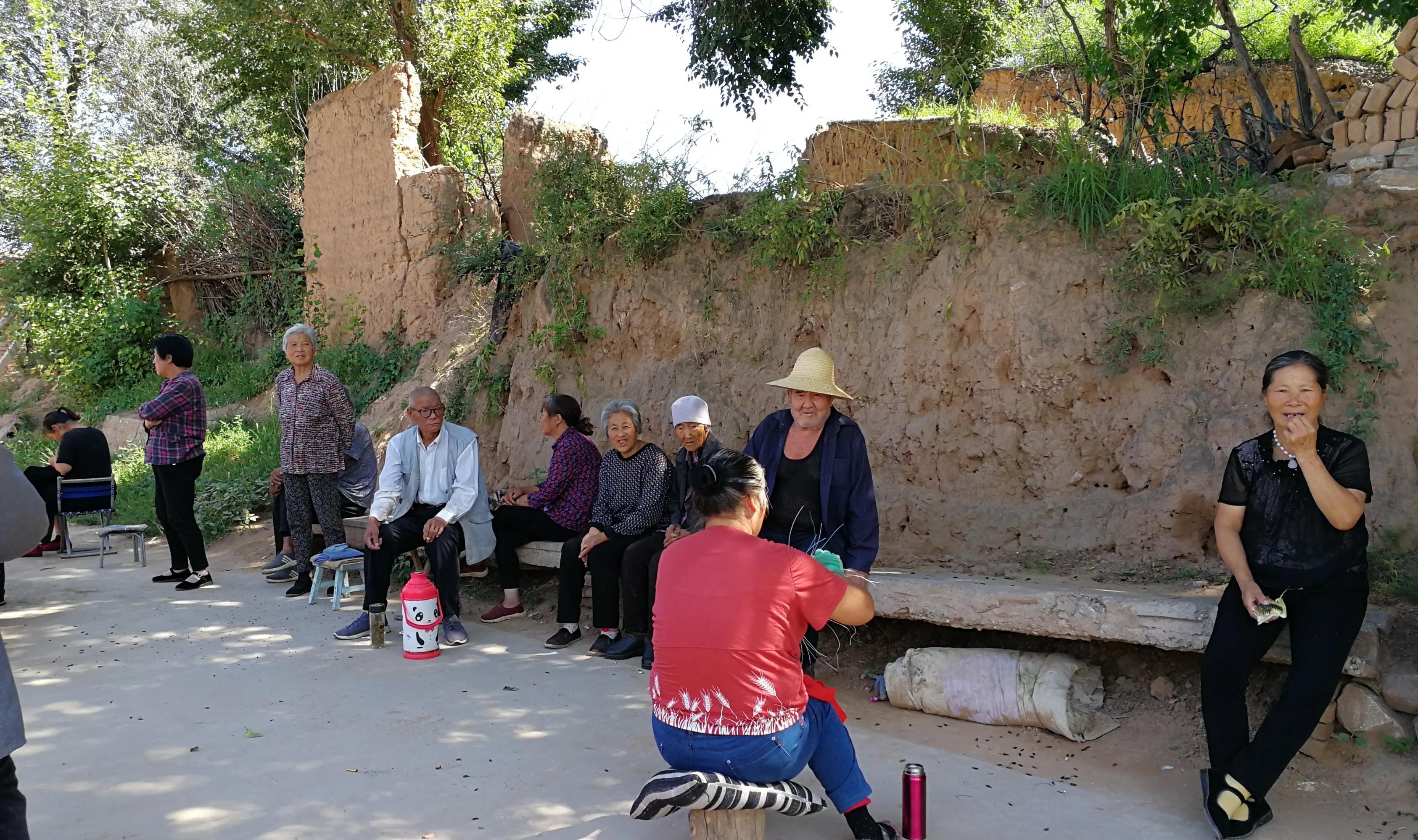 瘦驴拉硬屎意味着什么,瘦驴拉硬屎怎么回事