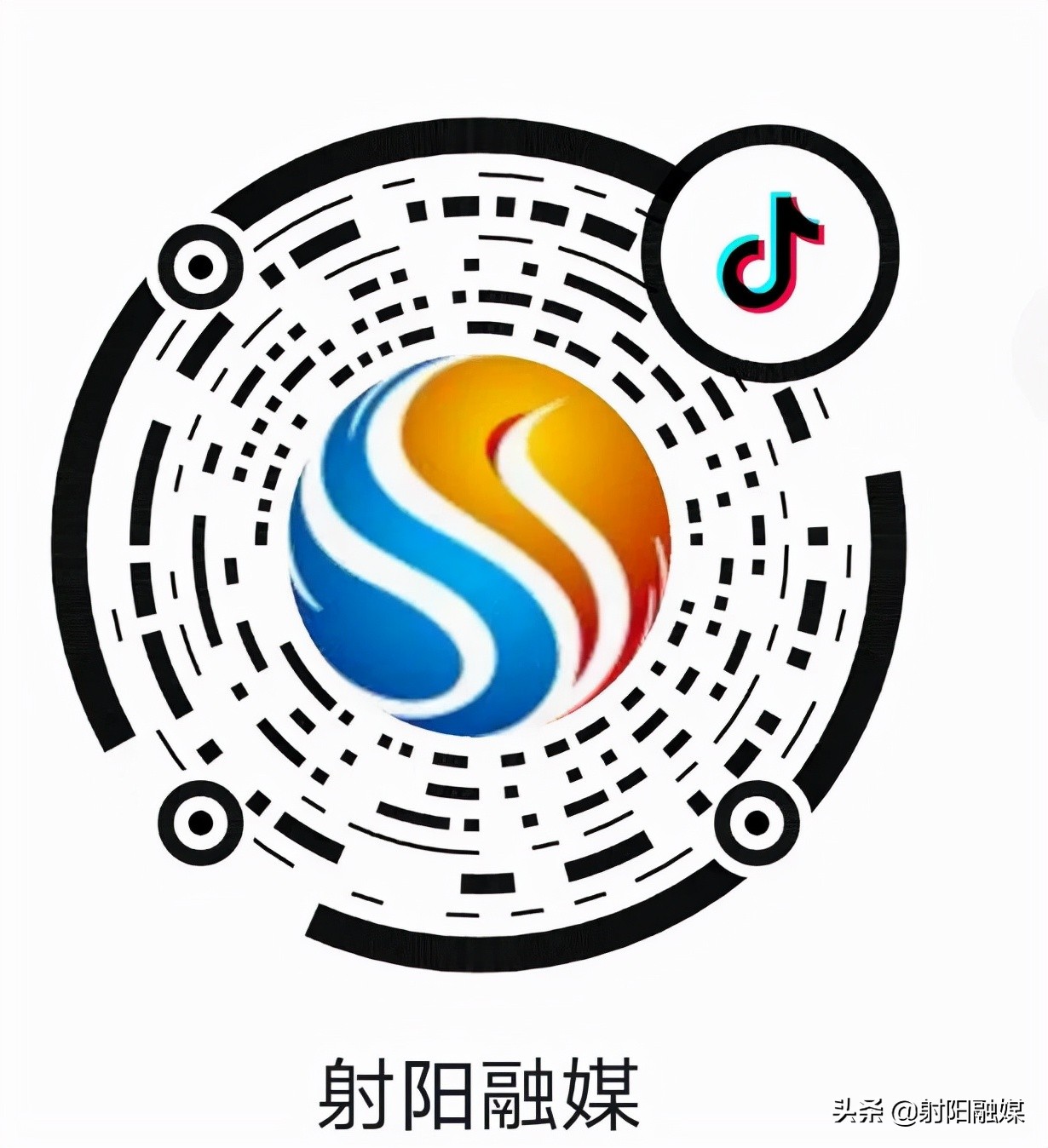 射阳新闻综合频道回看,射阳新闻公众号