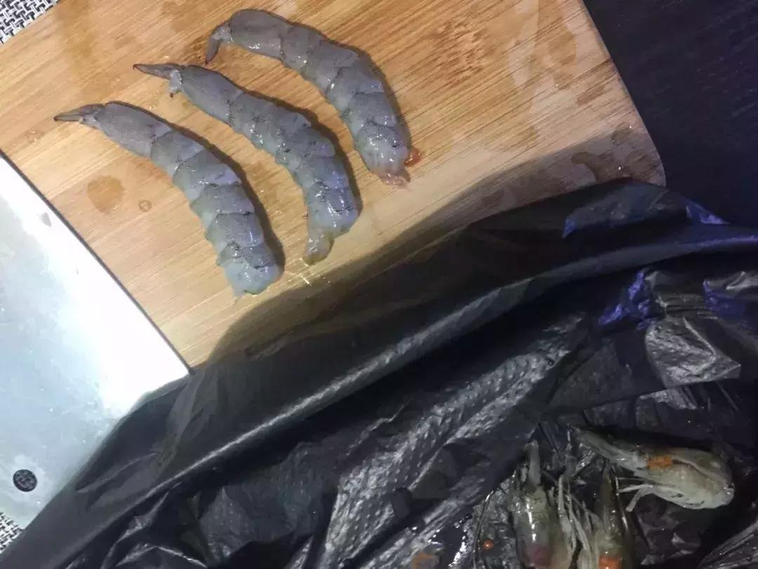 红虫蚯蚓大虾拉饵方法大集合,红虫虾饵蚯蚓拉饵