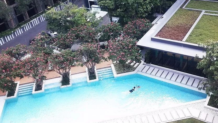 抖音热大批游客挤爆泰国一景点,泰国抖音十大网红景点