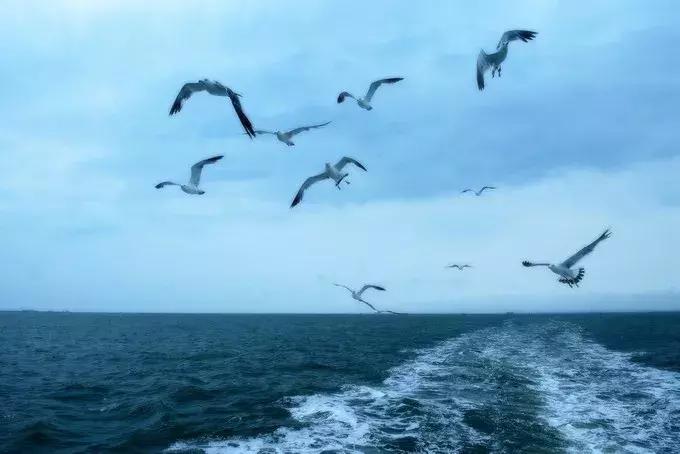 大连绝美海岛旅游攻略路线,七月去大连哪个海岛旅游好