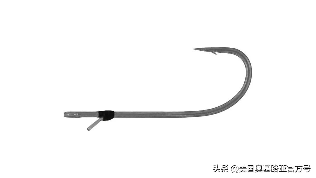 2024全国渔具展会一览表最新,2022年全国渔具展在哪