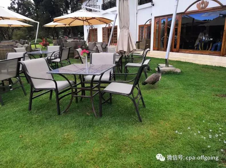 这个野奢的国度，欧美、日韩人都爱去，为何我们国家没人去？