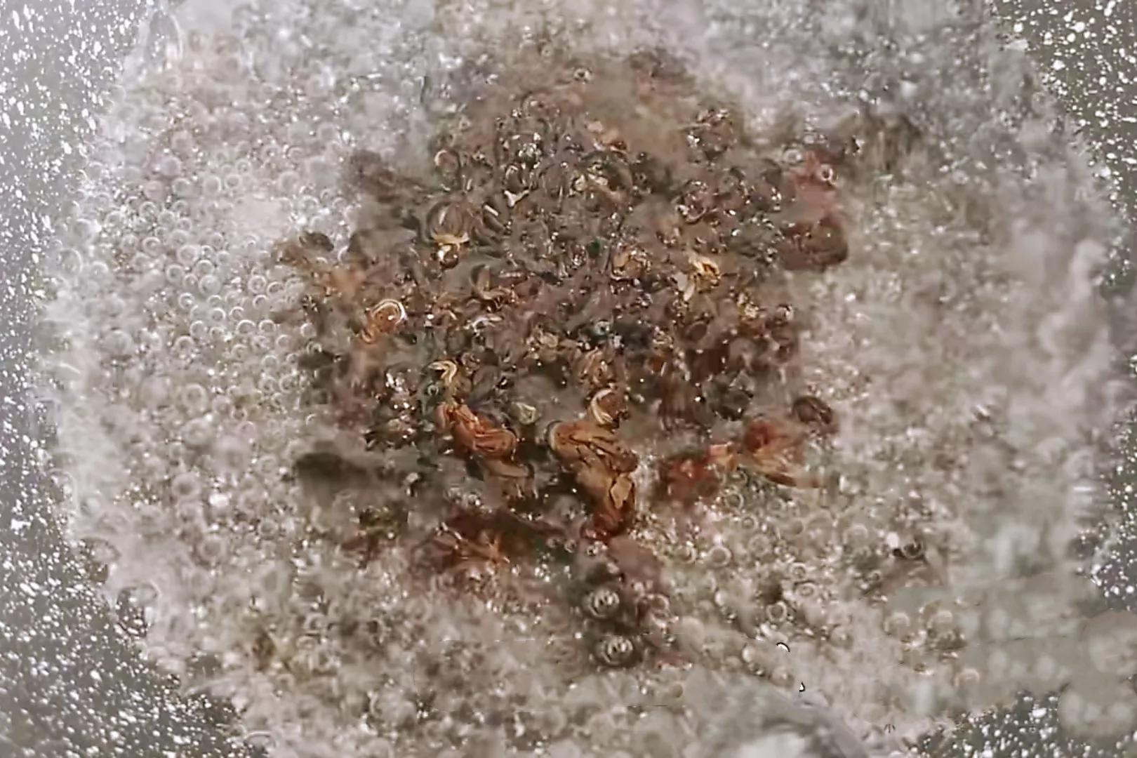 无添加剂奶茶制作方法,学会奶茶做法