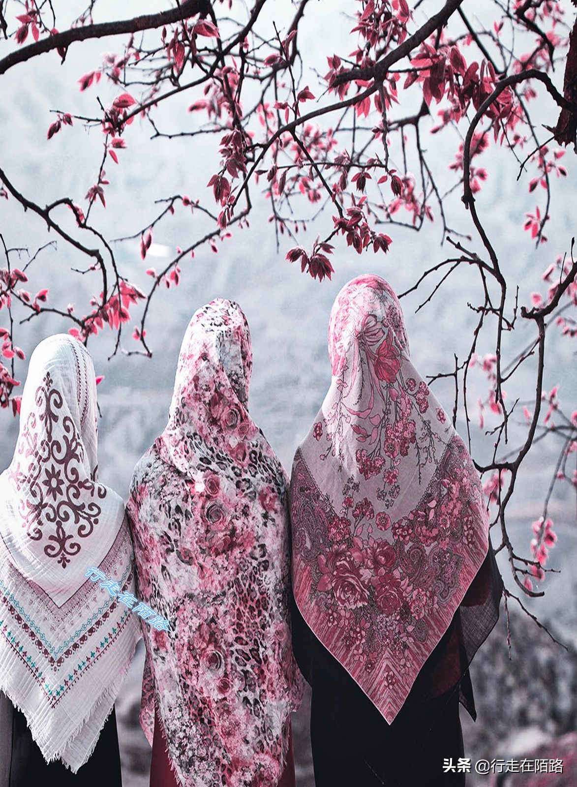 伊朗被网络攻击,伊朗真实的现状