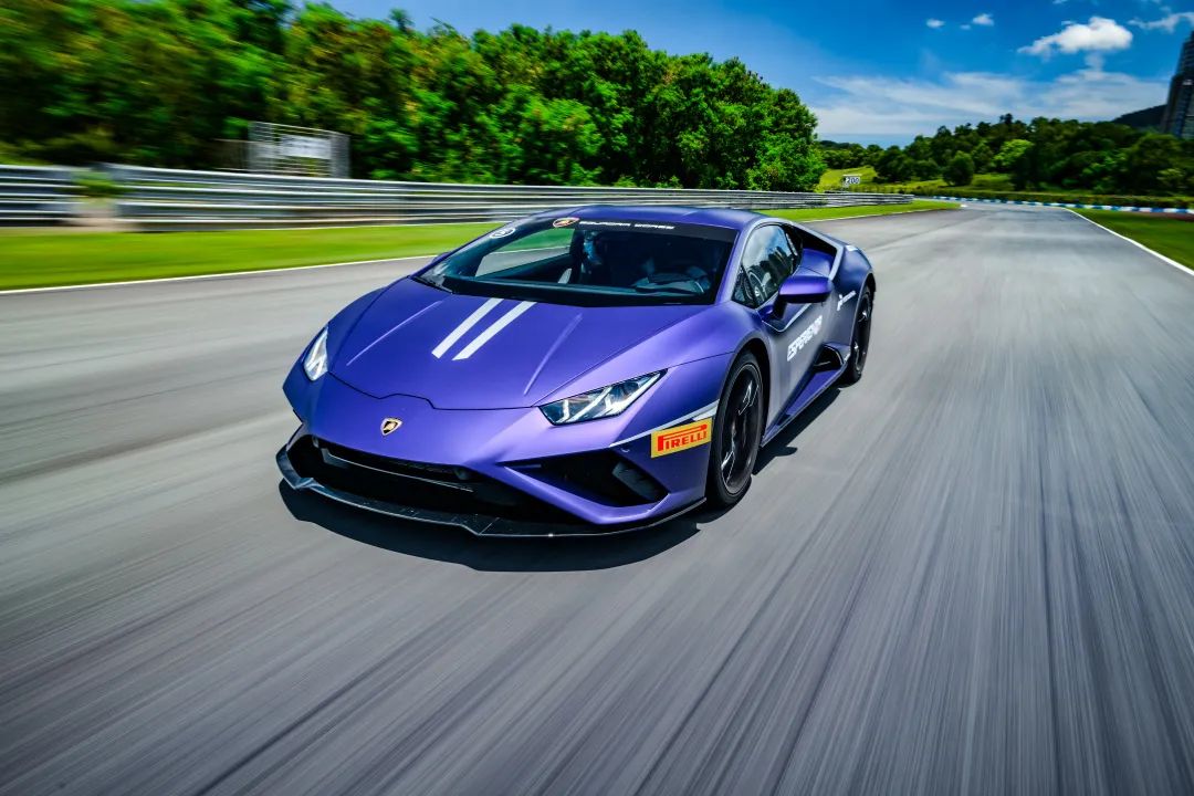 火热|为“披荆斩棘”的姐夫们打Call