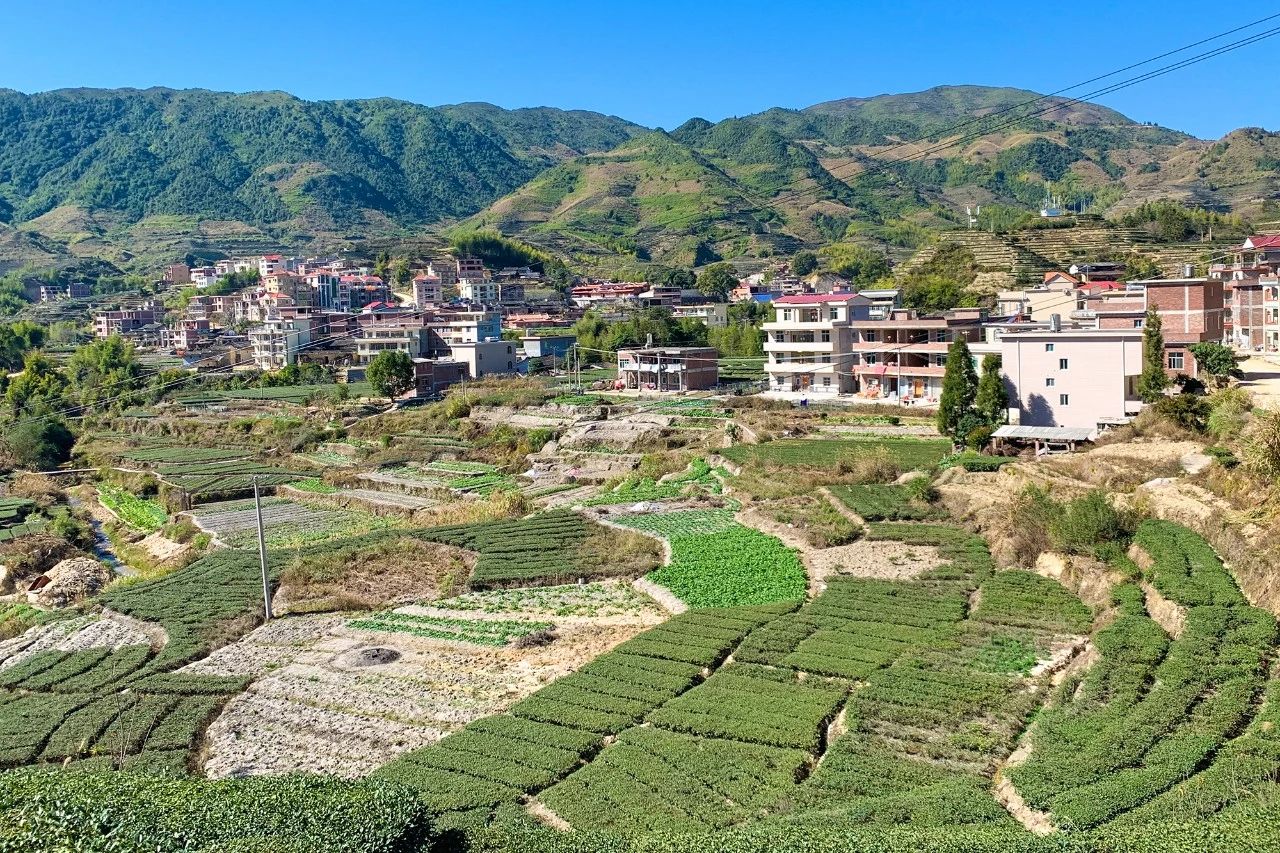 企业团餐行业的现状及发展趋势,团餐企业定位