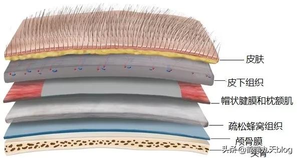 人类大脑如何超越人工智能,人类的出路在于将自身升级为神