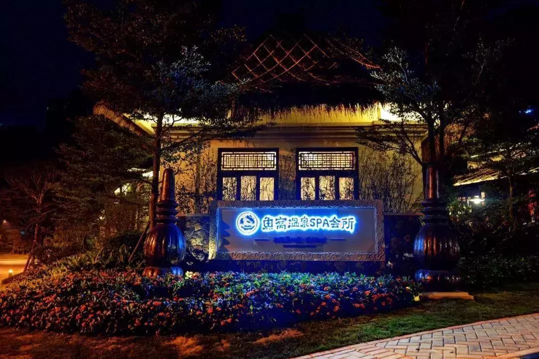 万科白天鹅鱼窝温泉,清远万科白天鹅温泉