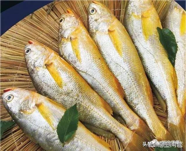 十种最便宜的海鱼,常见海鱼价格排名大全