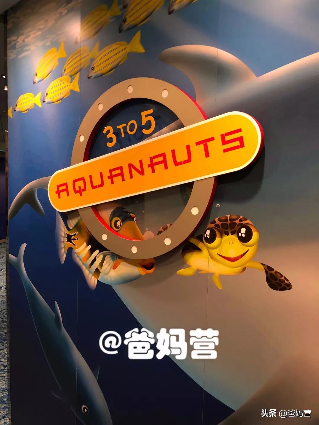 世界顶级豪华游轮来中国,世界顶级豪华游轮来过中国吗