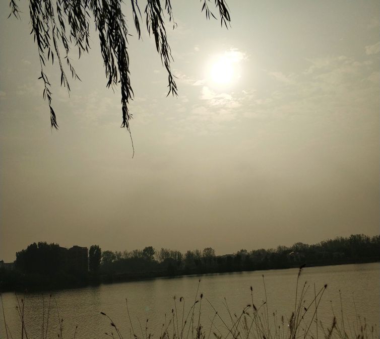 中医与生活相结合,中医和生活的奇妙关系