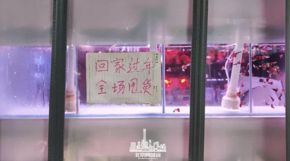 不去后悔去了更加后悔的景点,不去后悔去的景点