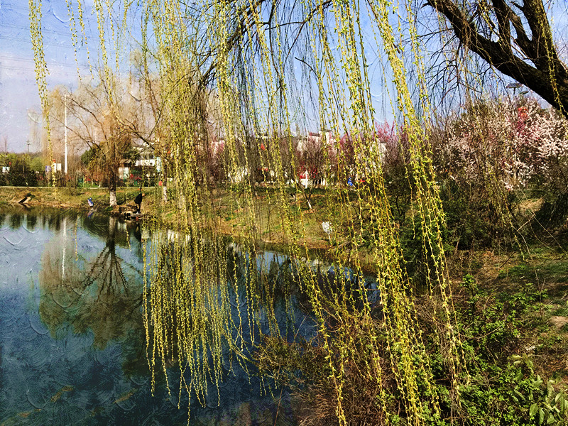 春至牛首，世凹春妆，画中徜徉，处处诗章-游南京江宁世凹桃源