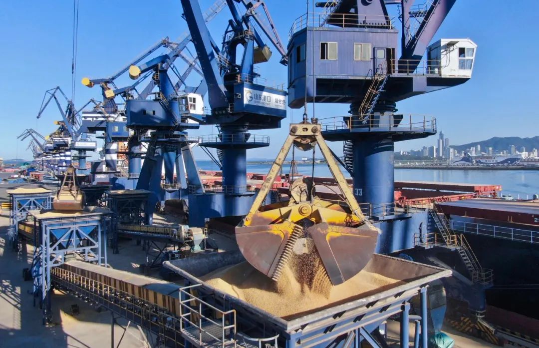 山东保税区港区在哪,粮食筒仓公用型保税仓库