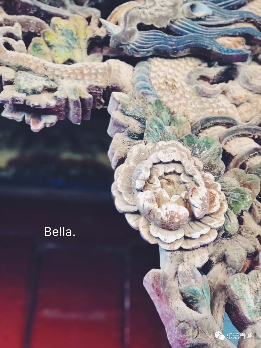 贝拉专访合集,贝拉专栏采访视频