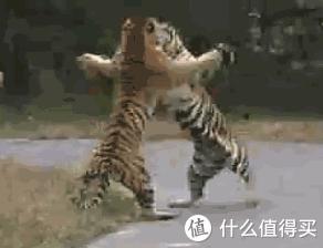 跳绳为什么会一顿一顿的,跳绳每天20分钟3000个会怎么样